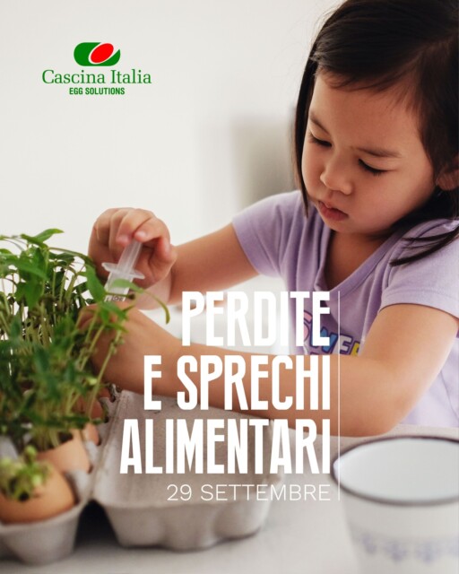 Giornata Mondiale della Consapevolezza sulle Perdite e gli Sprechi alimentari

Sprecare meno significa produrre meglio.

Ogni anno, un terzo del cibo prodotto nel mondo va sprecato.
Ridurre le perdite alimentari non è solo una questione ambientale: è una responsabilità etica, economica e professionale.

In Cascina Italia, parte del Gruppo Moretti, ogni giorno ci impegniamo per rendere sempre più efficiente e sostenibile ogni fase della nostra filiera.

#CascinaItalia #GruppoMoretti #GiornataMondiale #SprechiAlimentari