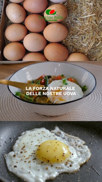 Oggi celebriamo il World Egg Day e un traguardo speciale: 30 anni di Giornata Mondiale dell'Uovo!
Ci sono cibi che ti danno la carica per affrontare la giornata. 
E cibi che si prendono cura di te da dentro. 
L’uovo fa entrambe le cose, contemporaneamente:
fornisce energia pura per un alimentazione equilibrata grazie a proteine ad alto valore biologico. Protegge il tuo organismo con micronutrienti essenziali per il sistema immunitario.
Solo la forza naturale delle nostre uova fresche.
L'energia che ti serve, la protezione di cui hai bisogno. 
 
#CascinaItalia #WorldEggDay #AlimentazioneSana #Nutrizione
